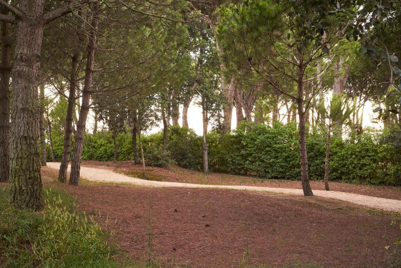 Aparthotel La Pineta Лидо-ди-Езоло Экстерьер фото